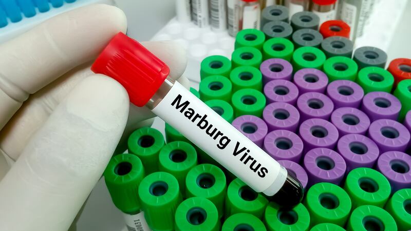 Virus de Marburgo: OMS y Guinea Ecuatorial analizan tratamientos experimentales