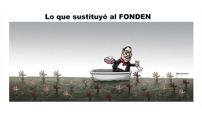 Lo que sustituyó al FONDEN