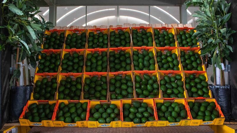 México–EU: convergencias y divergencias