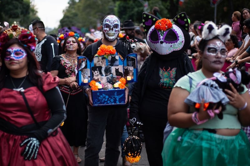 ¿Cuándo y dónde es la Mega Procesión de Catrinas 2026 en CDMX?
