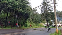 Se desgaja cerro y se desborda río en Jilotzingo, Edomex; reportan casas dañadas