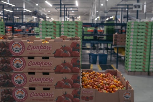 Tiene México oportunidad frente a tensión geopolítica: IP