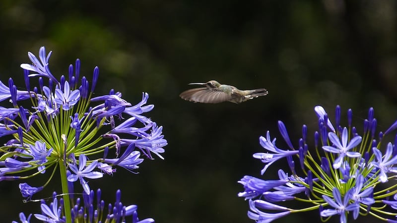 Clima para Toluca: Cielo nublado y sin lluvias para el viernes 25 de septiembre