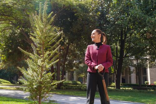 Sheinbaum envía mensaje de Año Nuevo y agradece a AMLO: ‘Les deseamos lo mejor para el 2025′