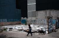 Ingeniería y arquitectura frente a desastres naturales