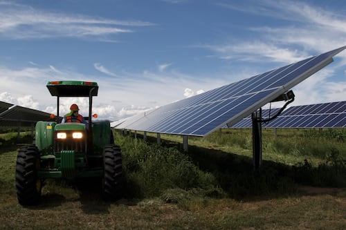 Empresas están dispuestas a dar 'pelea' legal por cambios en regulación de energía limpia en México