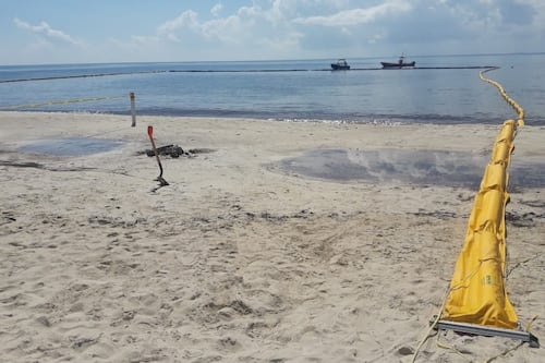 Cumbre sobre el sargazo en Cancún es reprogramada para el 27 de junio