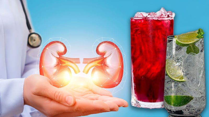 ¿Cuál es la mejor agua para los riñones?