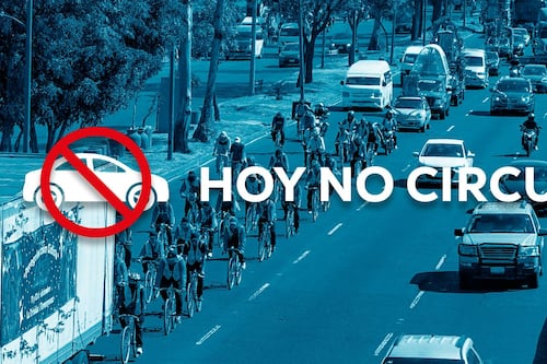 Que no te multen el día de la Virgen: Hoy No Circula para este 12 de diciembre en CDMX y Edomex