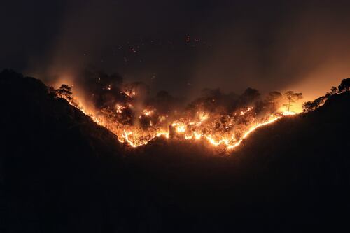 Incendio en Tepoztlán: 24 horas de lucha contra el fuego (Fotos)