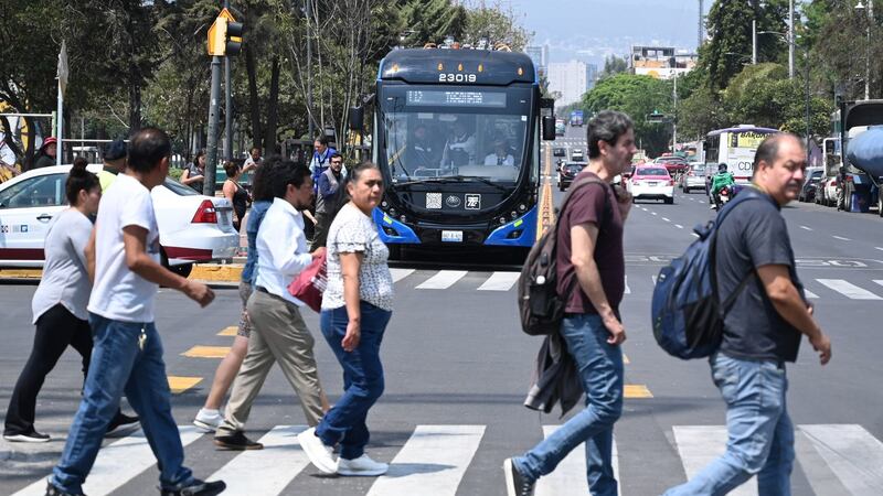 Inicia 2025 con trabajo: Trolebús CDMX abre vacantes para conductores, ¿qué sueldo ofrecen?