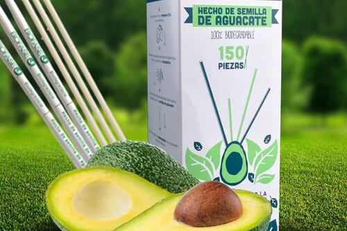 Biofase con el aguacate