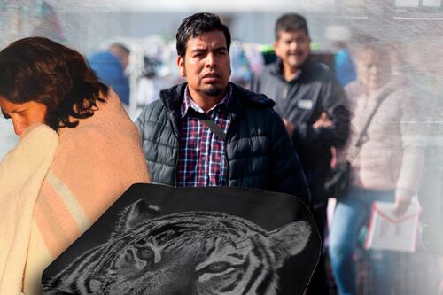 Pon la ‘frazada de tigre’: CDMX activa doble alerta por temperaturas de 1°C y heladas para este sábado