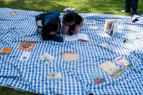 Comprensión lectora: ¿qué dice la ciencia de la lectura?