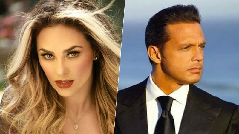 Luis Miguel y Aracely Arámbula: ¿Qué ha pasado con el pago de la manutención de sus hijos?