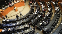 Elección judicial en 2028 y comisión contra ‘narcocandidatos’, a periodo extraordinario en el Congreso