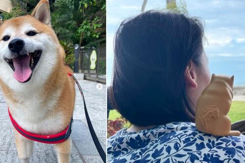 Suave ‘despemdida’: Así fue el funeral del perrito Cheems, el ‘lomito’ de los memes