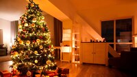 ¿Ya tienes tu árbol de Navidad? Sigue estas recomendaciones para evitar accidentes en casa