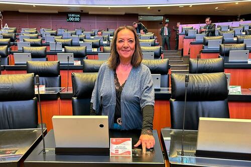 Lucía Trasviña, la senadora de Morena que insultó a legisladores del PAN: ‘Se hacen pen...’