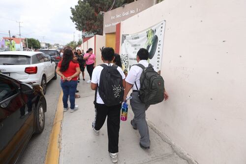 PISA y los orgánicos