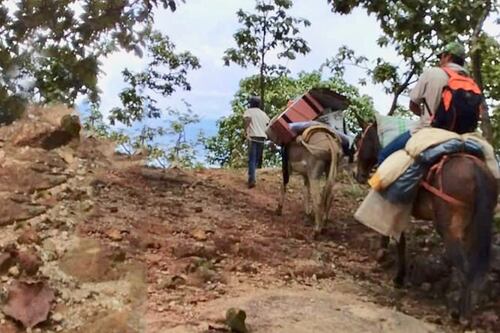 Mexicanos regresan los paquetes electorales al INE hasta en burro