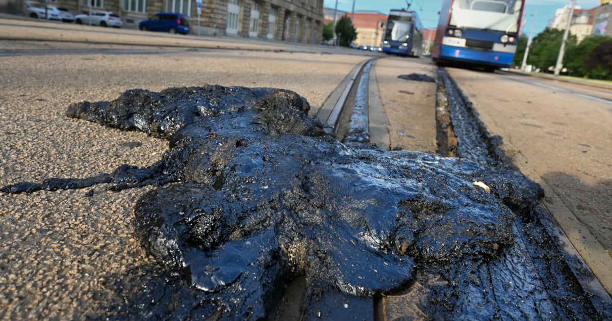Ola de calor extrema ‘achicharra’ a Europa: Francia reporta más de mil muertes por altas temperaturas