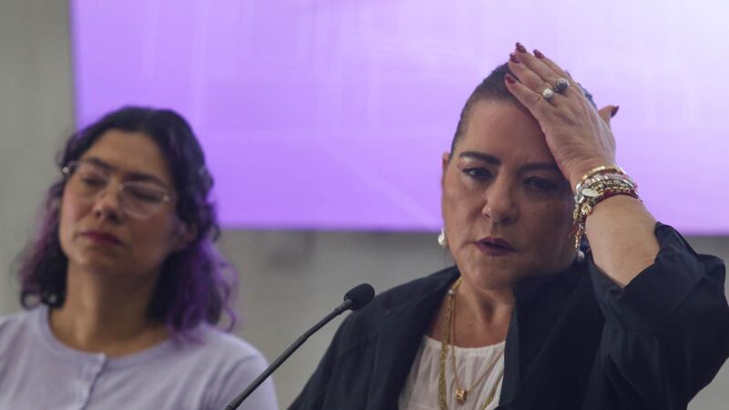 Guadalupe Taddei ‘le hace el feo’ a la elección de consejeros del INE por voto: ‘Es un camino escabroso’