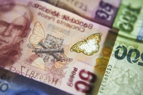 La conexión entre la oferta y demanda de recursos productivos