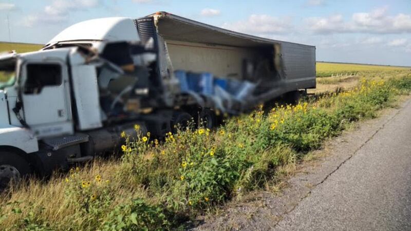 Empresa del tráiler que transportaba perros y gatos muertos deja de operar