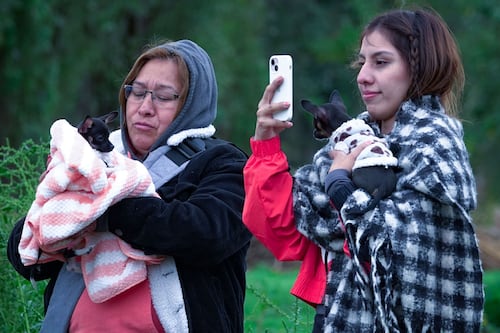 CDMX ‘respirará’ copos de nieve: Activan doble alerta por bajas temperaturas en estas alcaldías