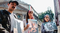 ¿Qué es la Ley Maple? Así es la iniciativa que presentaron en CDMX a favor de los animales