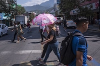 Canícula 2023: Estados con calor de más de 40 grados centígrados