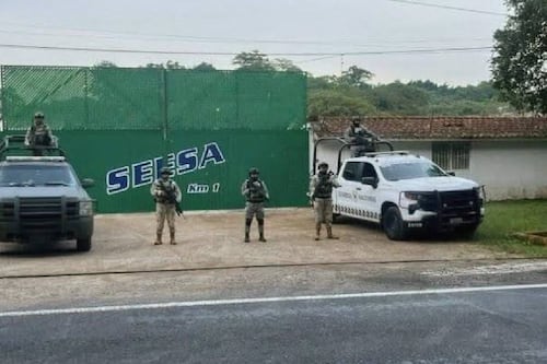 No era una refinería clandestina: Aseguran centro de almacenamiento ilegal de combustible en Veracruz