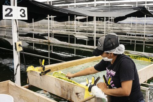 Firma de reclutamiento advierte sobre 'congelación' de ajustes salariales