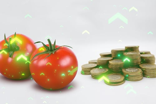 El singular caso del jitomate