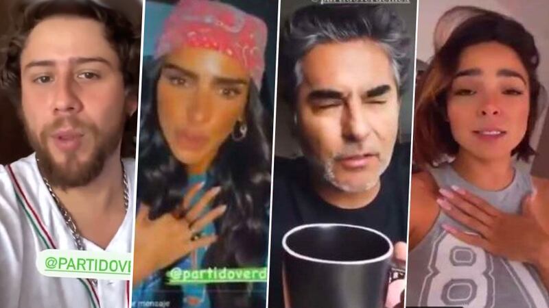 Influencers recibieron del Partido Verde 10,000 dólares por storie