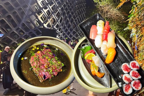 Así es TORI: La renovada barra de sushi que parece un bosque encantado en CDMX