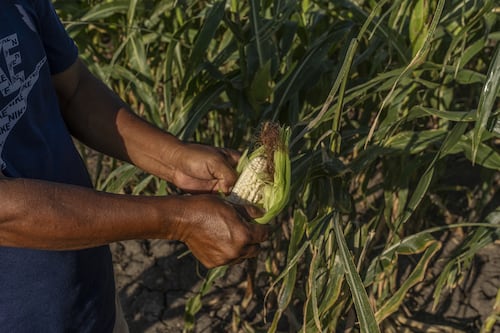 Las barreras comerciales no arancelarias de México a EU