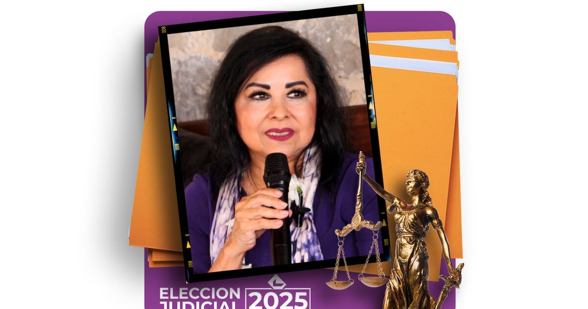 Arly Reyes Elección judicial: Arely Reyes, la exfuncionaria de AMLO y Miguel ...