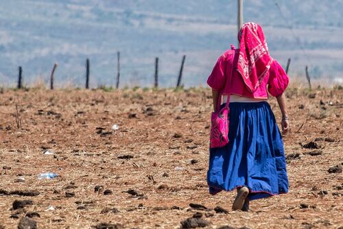 En riesgo de desaparecer 107 variantes lingüísticas de las 68 lenguas indígenas, advierte la CNDH