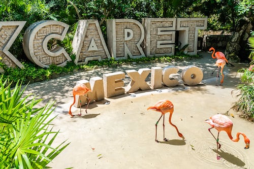 México sí ganó, Xcaret regalará 150 mil entradas gratuitas a su parque; todo lo que debes saber