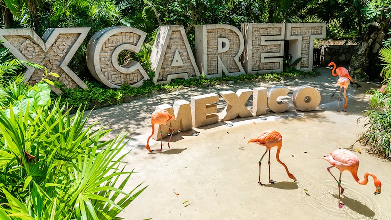 México sí ganó, Xcaret regalará 150 mil entradas gratuitas a su parque; todo lo que debes saber