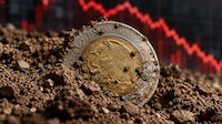Dólar ‘arrastra por el suelo’ al peso en septiembre: Es la moneda más depreciada del mundo