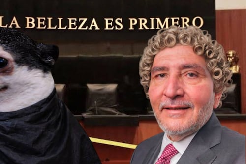 ‘¿A dónde tan peinada? Eh, eh, eh...’ Los mejores memes del salón de belleza del Senado