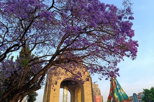 ‘Vuelve, vuelve primavera’: ¿Cuándo es el equinoccio 2026?