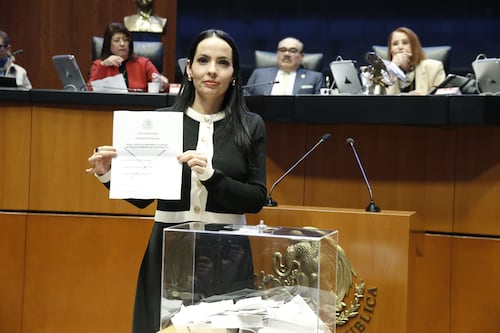 ‘Muertes por sarampión son culpa de Morena’: Senadora del PAN llama ‘niños 4T’ a fallecidos