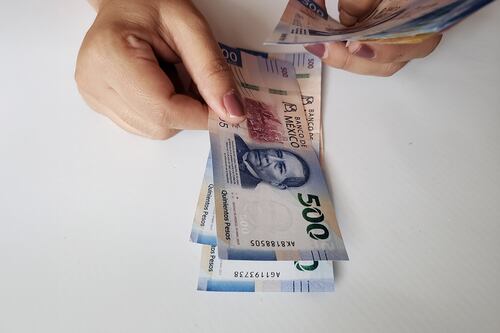 No te quedes sin el pago de utilidades 2024: ¿Cuál es el último día para depositarlas?