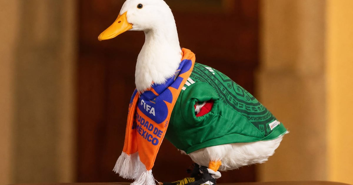Disputa legal por el Pato Merlín: Intentan registrar su imagen como marca ante el IMPI