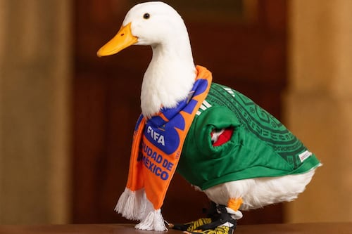 ¿Le ganaron el registro de marca al pato Merlín? Esto sabemos del caso del ave mundialista