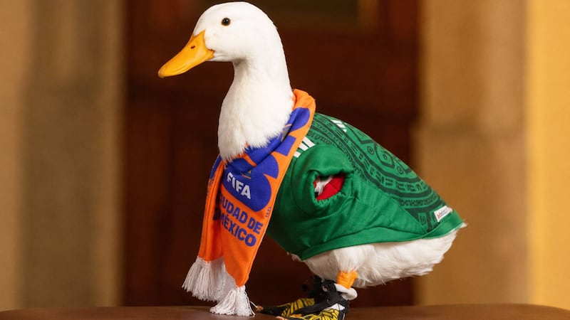 ¿Le ganaron el registro de marca al pato Merlín? Esto sabemos del caso del ave mundialista